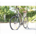 Morden Design 48v1000W 8fun heckantrieb billig elektrische mountainbike, niedrigen preis e bike made in china